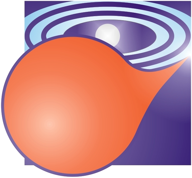 VSS Logo